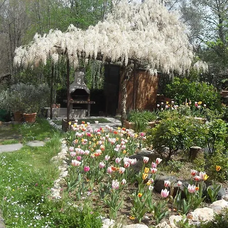 Villa With Pool Near 5terre Firefly Quaratica