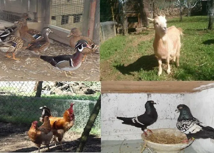 Villa With Pool Near 5terre Firefly *