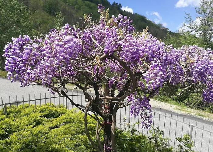 With Pool Near 5terre Firefly Villa